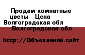 Продам комнатные цветы › Цена ­ 2 000 - Волгоградская обл.  »    . Волгоградская обл.